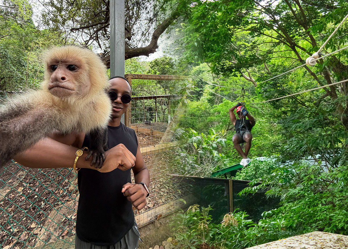 Canopy + Animal Park