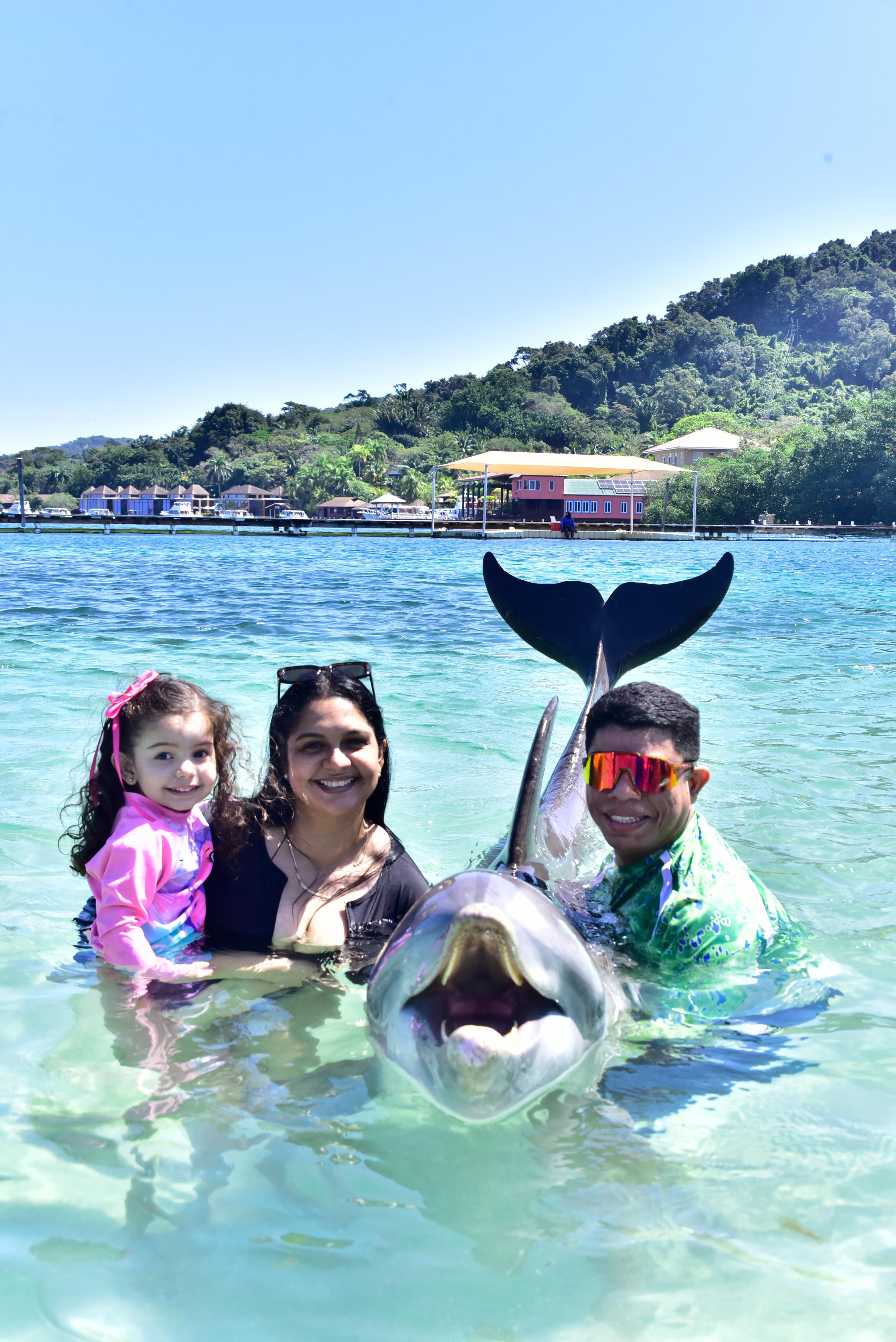 Dolphin Encounter