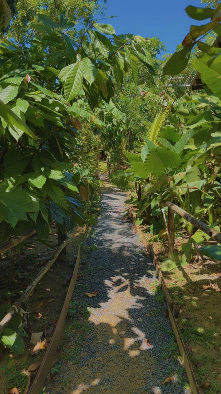 Living Garden