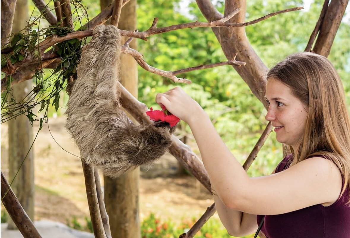 Monkey and Sloth Hangout